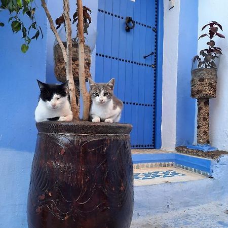 Riad Chourafa Chefchaouen Exteriör bild